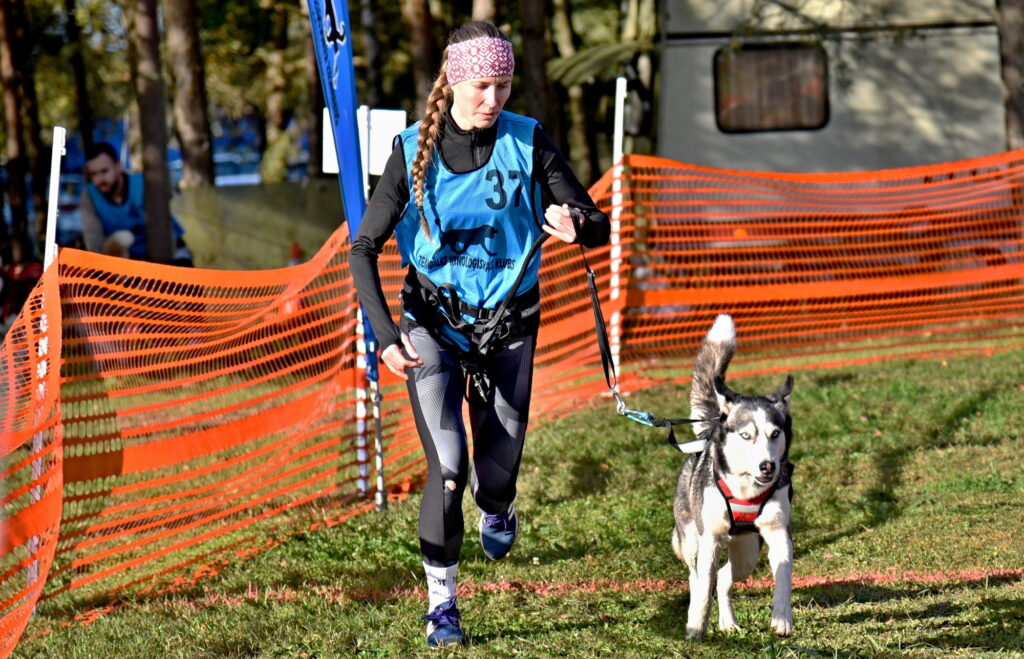 Autors: Uldis Varnevičs