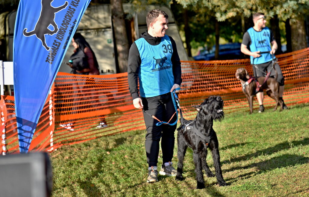 Autors: Uldis Varnevičs