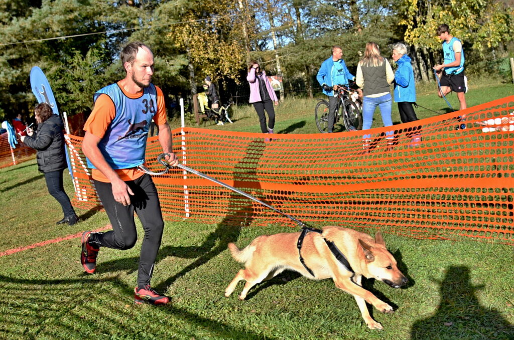 Autors: Uldis Varnevičs