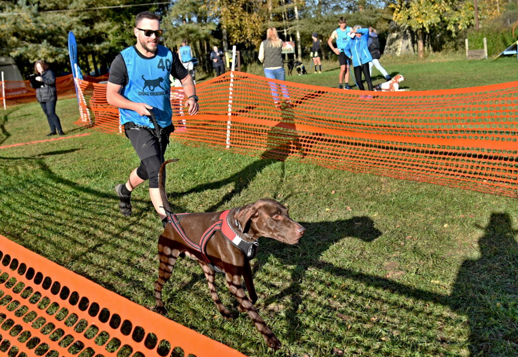 Autors: Uldis Varnevičs