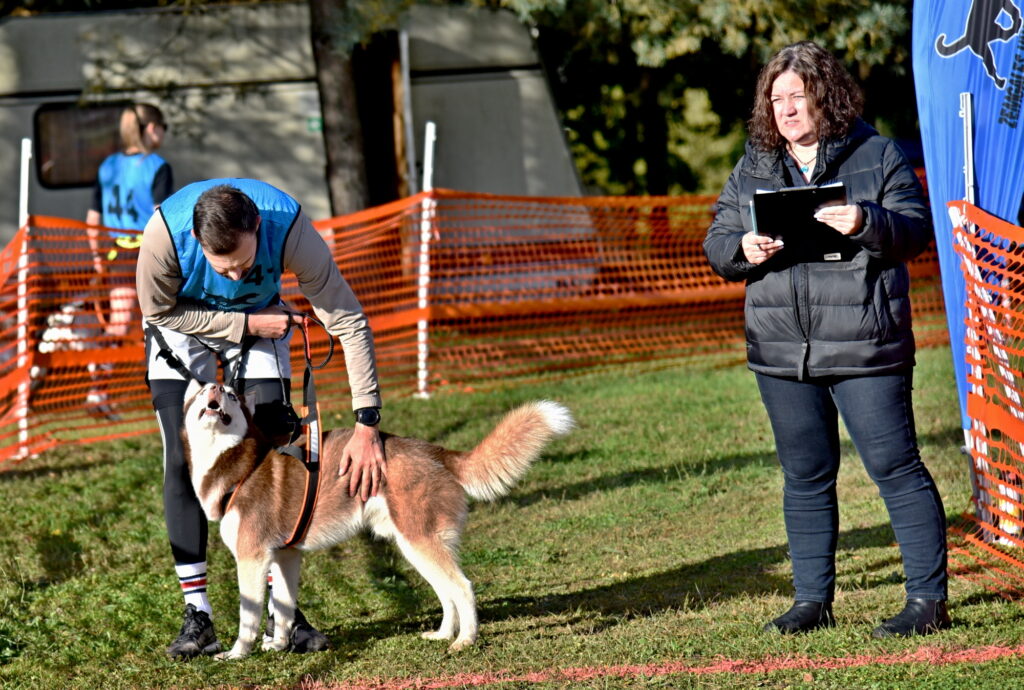 Autors: Uldis Varnevičs