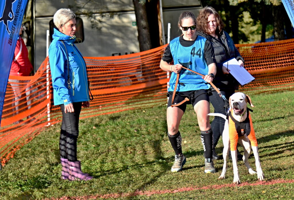 Autors: Uldis Varnevičs