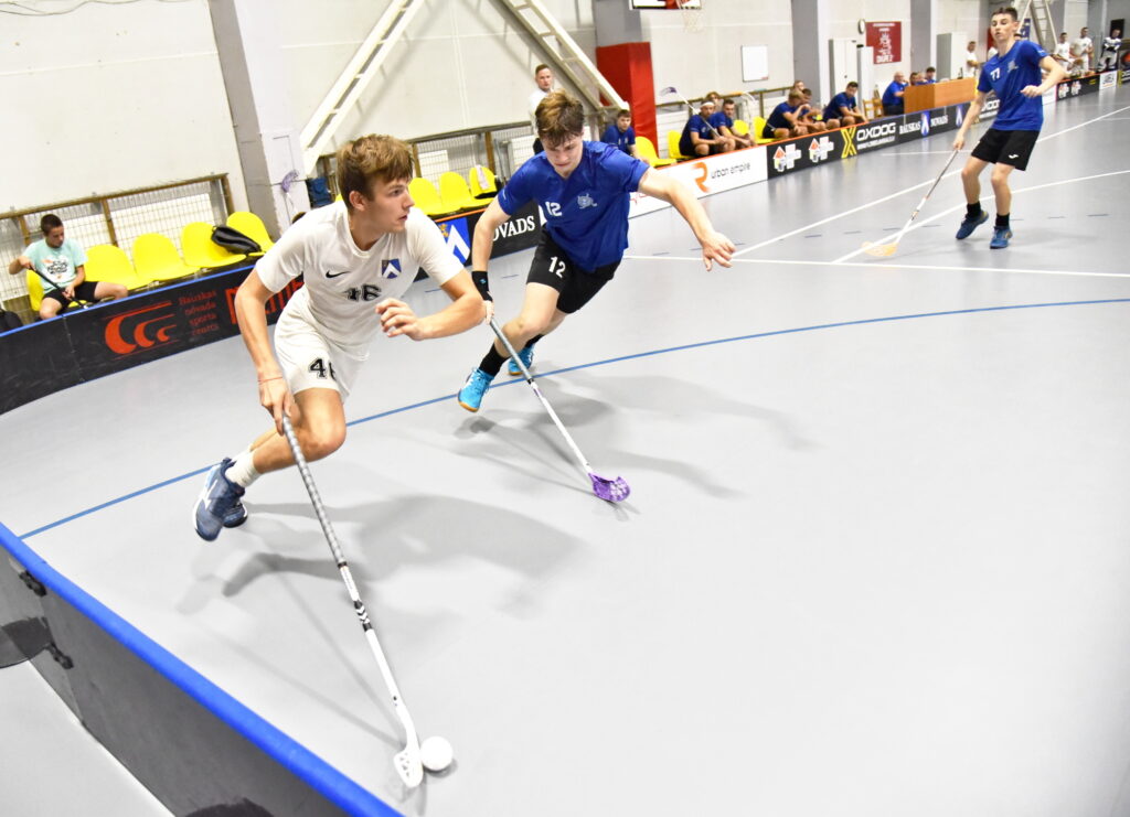 Autors: Uldis Varnevičs