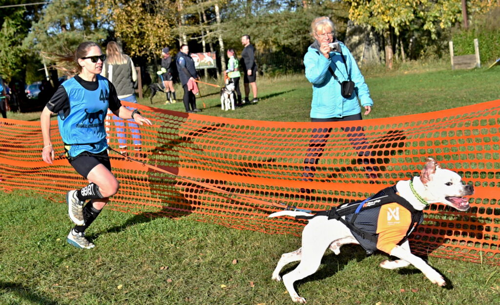 Autors: Uldis Varnevičs