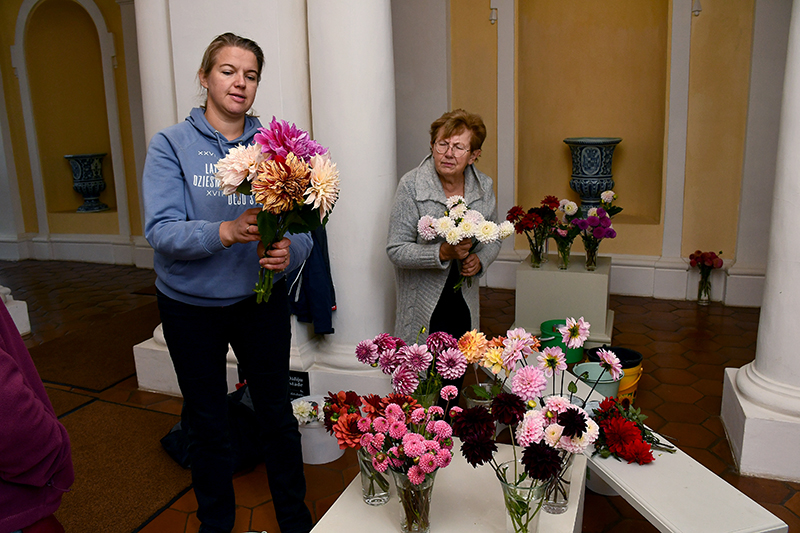 Autors: Ivars Bogdanovs