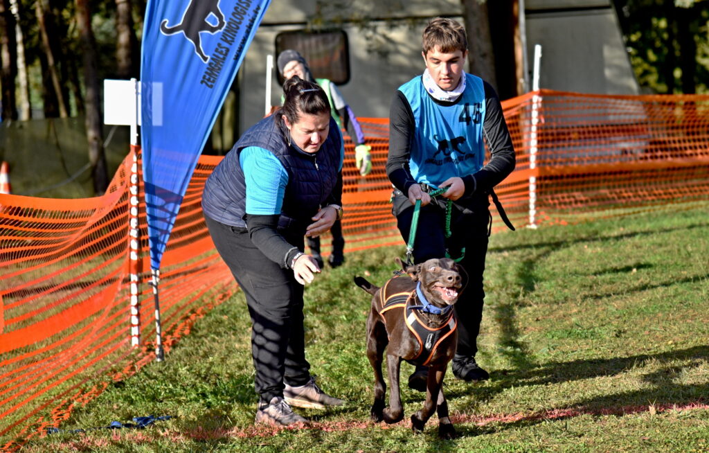 Autors: Uldis Varnevičs