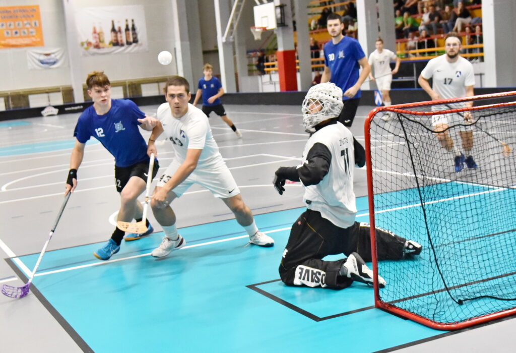 Autors: Uldis Varnevičs