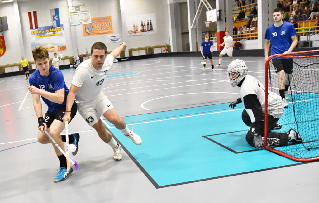 Autors: Uldis Varnevičs