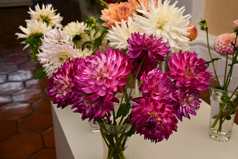 Autors: Ivars Bogdanovs