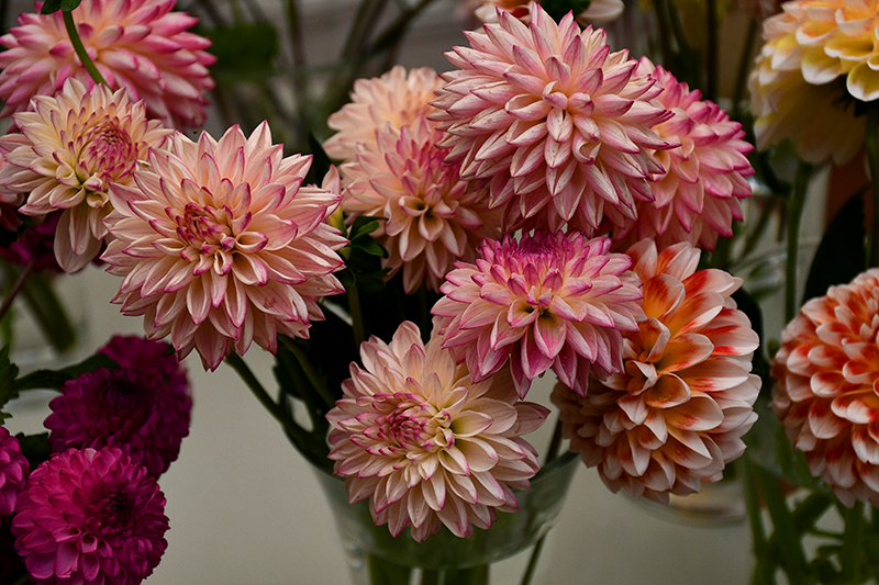 Autors: Ivars Bogdanovs