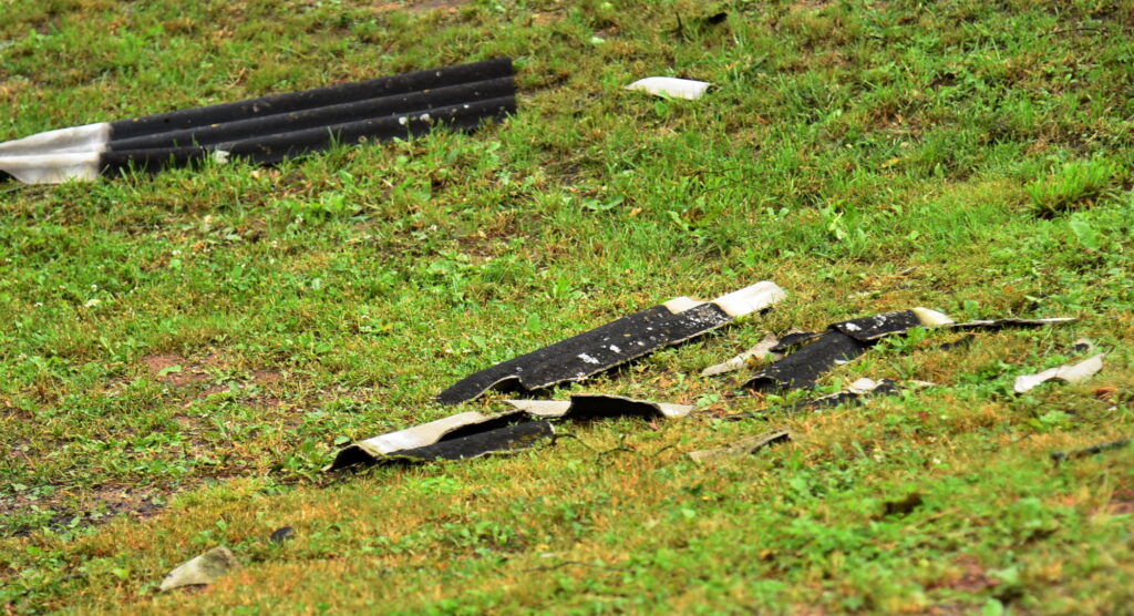 Autors: Uldis Varnevičs