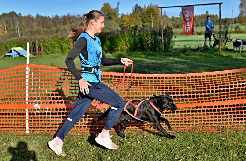 Autors: Uldis Varnevičs