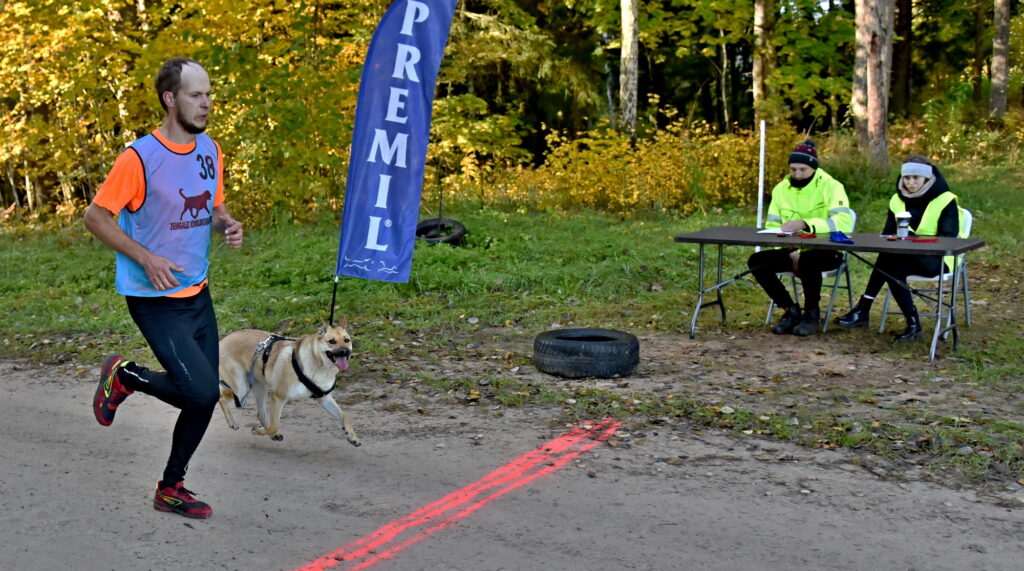 Autors: Uldis Varnevičs
