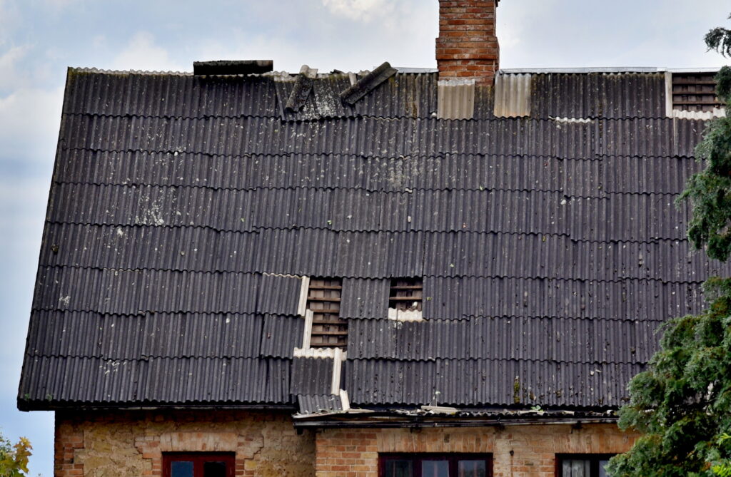 Autors: Uldis Varnevičs