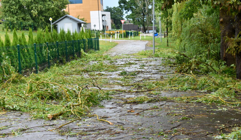 Autors: Uldis Varnevičs