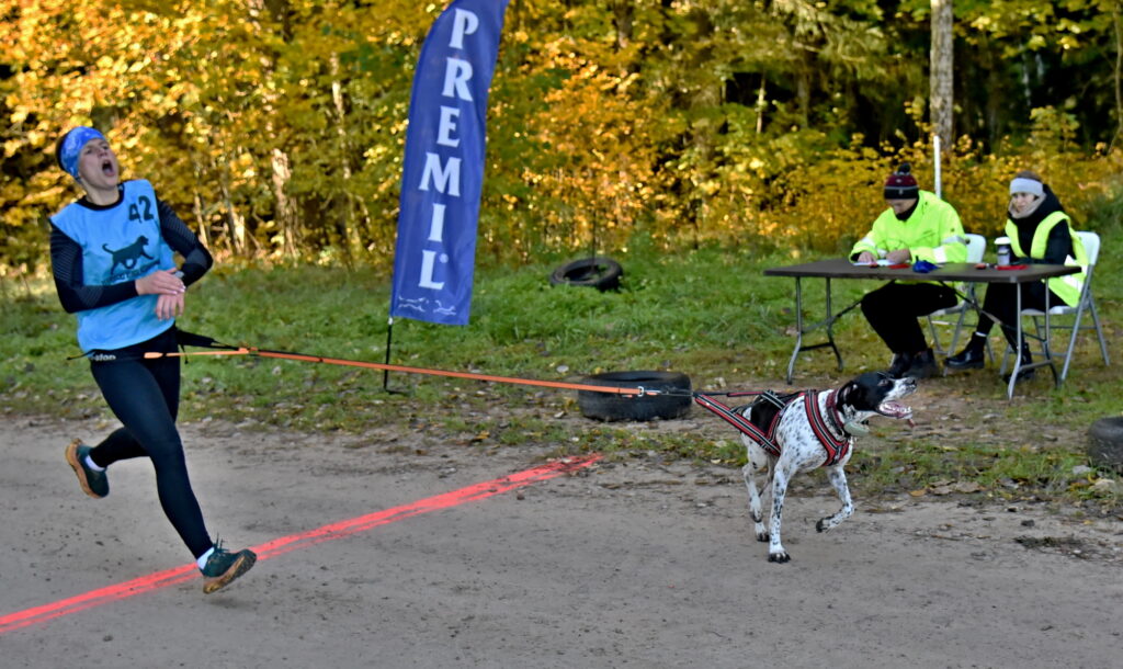 Autors: Uldis Varnevičs