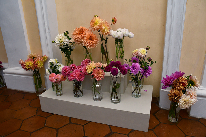 Autors: Ivars Bogdanovs