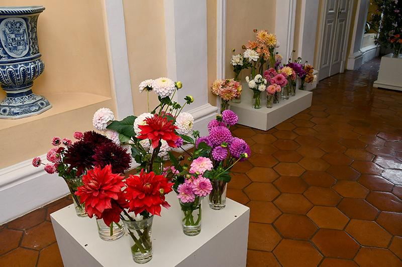 Autors: Ivars Bogdanovs