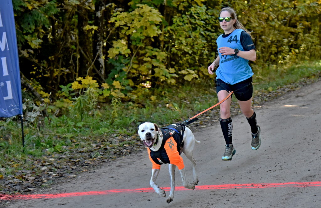 Autors: Uldis Varnevičs