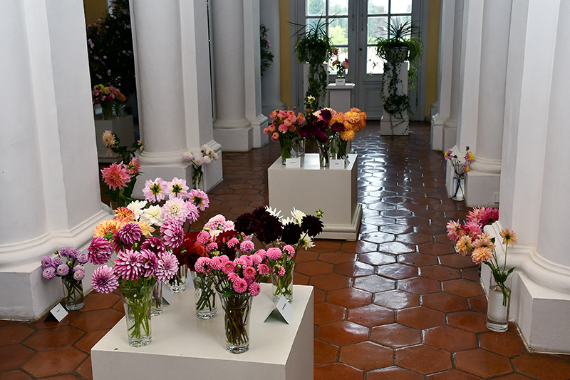 Autors: Ivars Bogdanovs