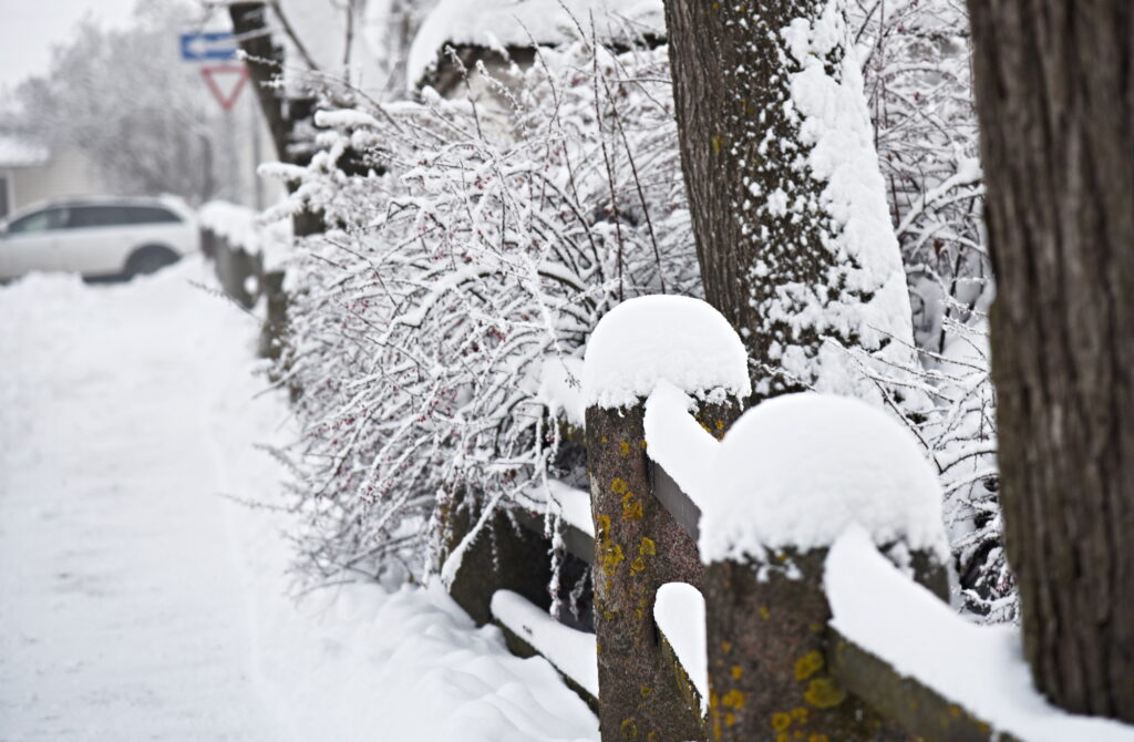 Autors: Uldis Varnevičs