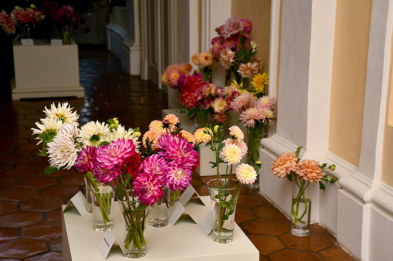 Autors: Ivars Bogdanovs