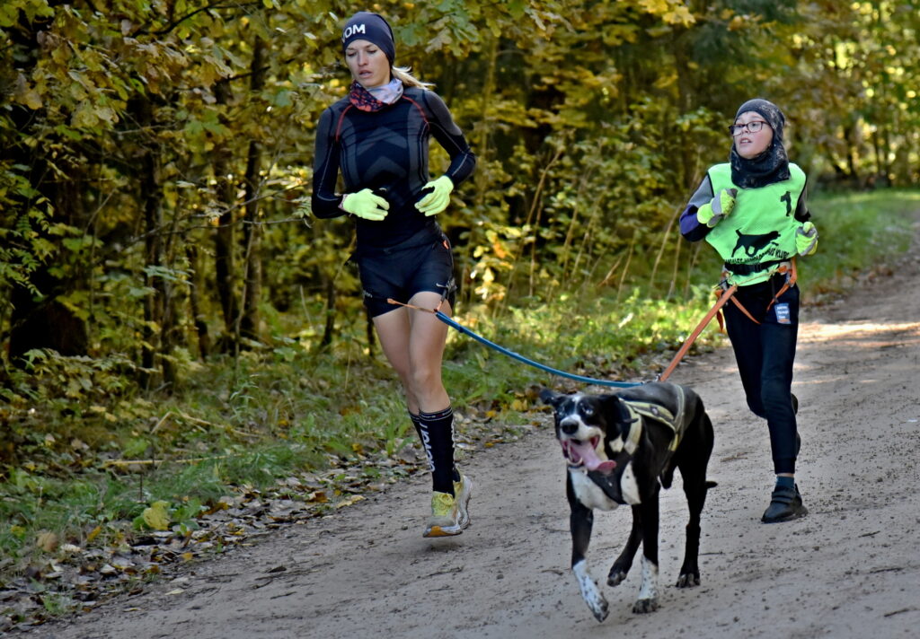 Autors: Uldis Varnevičs