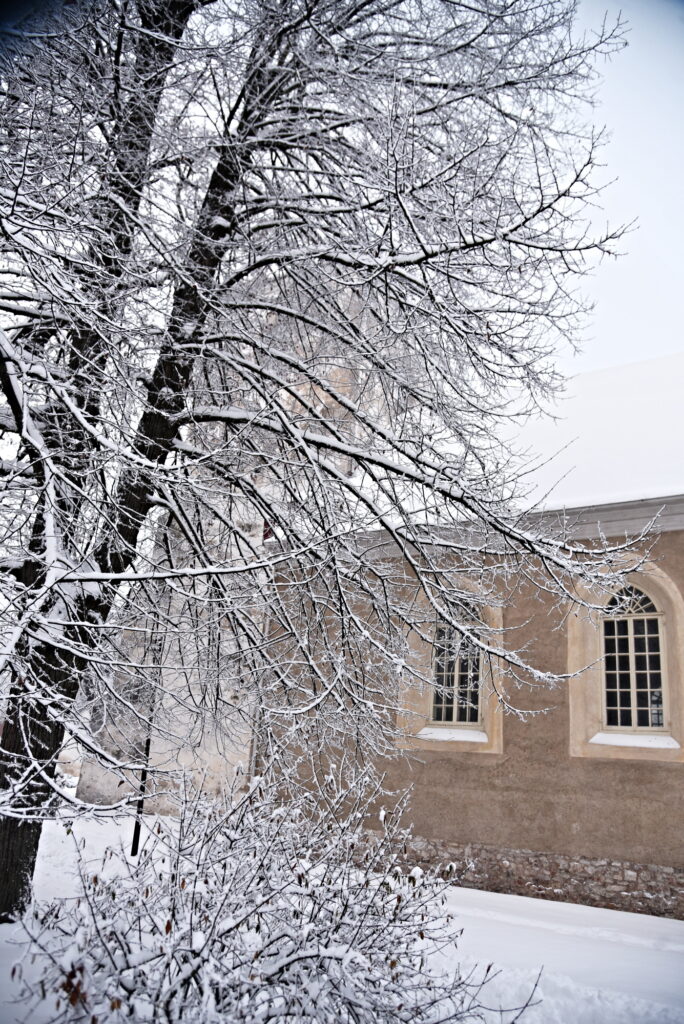 Autors: Uldis Varnevičs