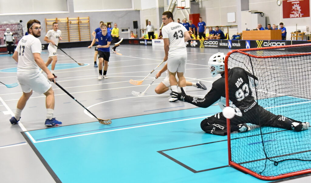 Autors: Uldis Varnevičs