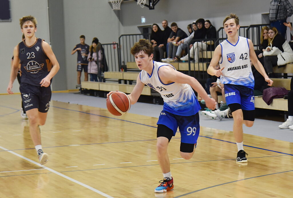 Autors: Uldis Varnevičs 