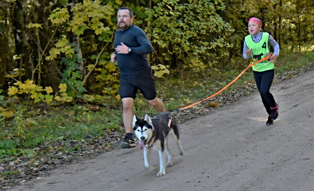 Autors: Uldis Varnevičs