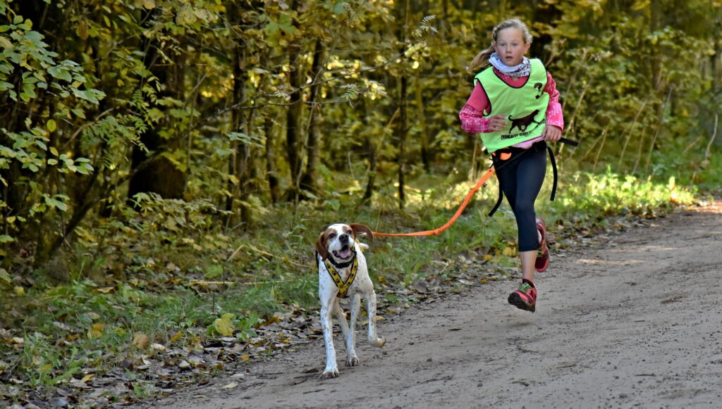 Autors: Uldis Varnevičs