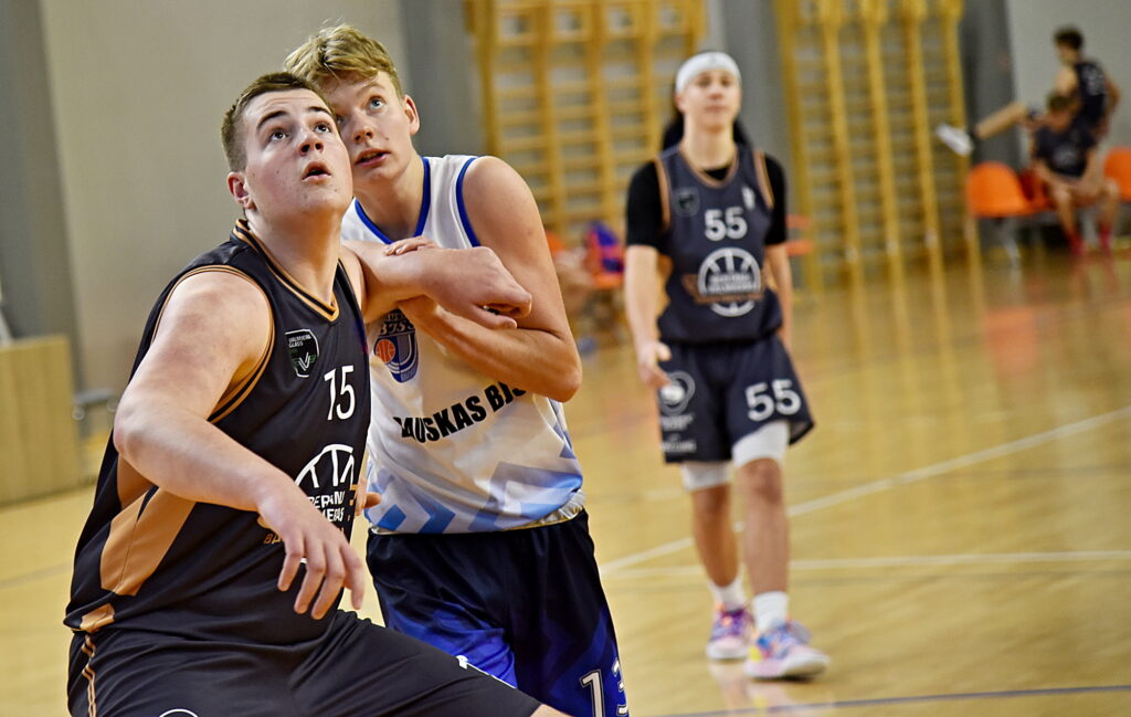 Autors: Uldis Varnevičs 