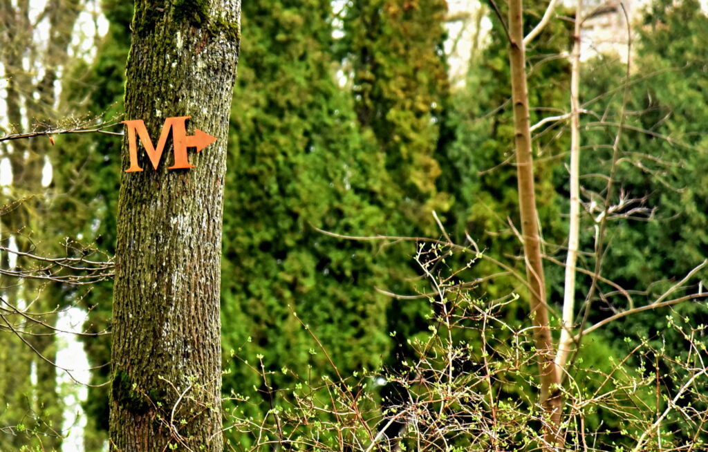 Autors: Uldis Varnevičs