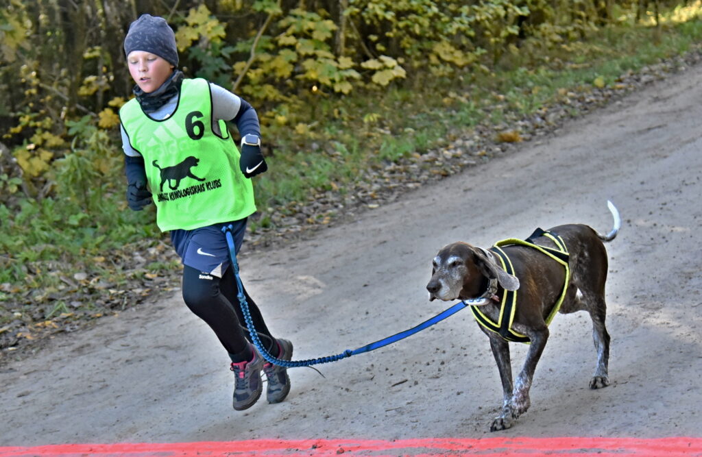 Autors: Uldis Varnevičs