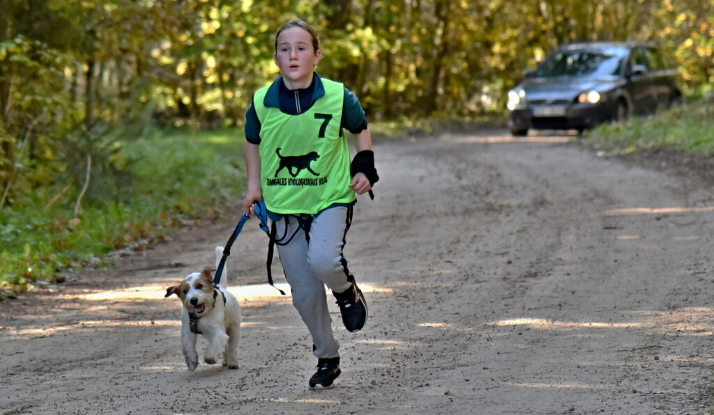 Autors: Uldis Varnevičs