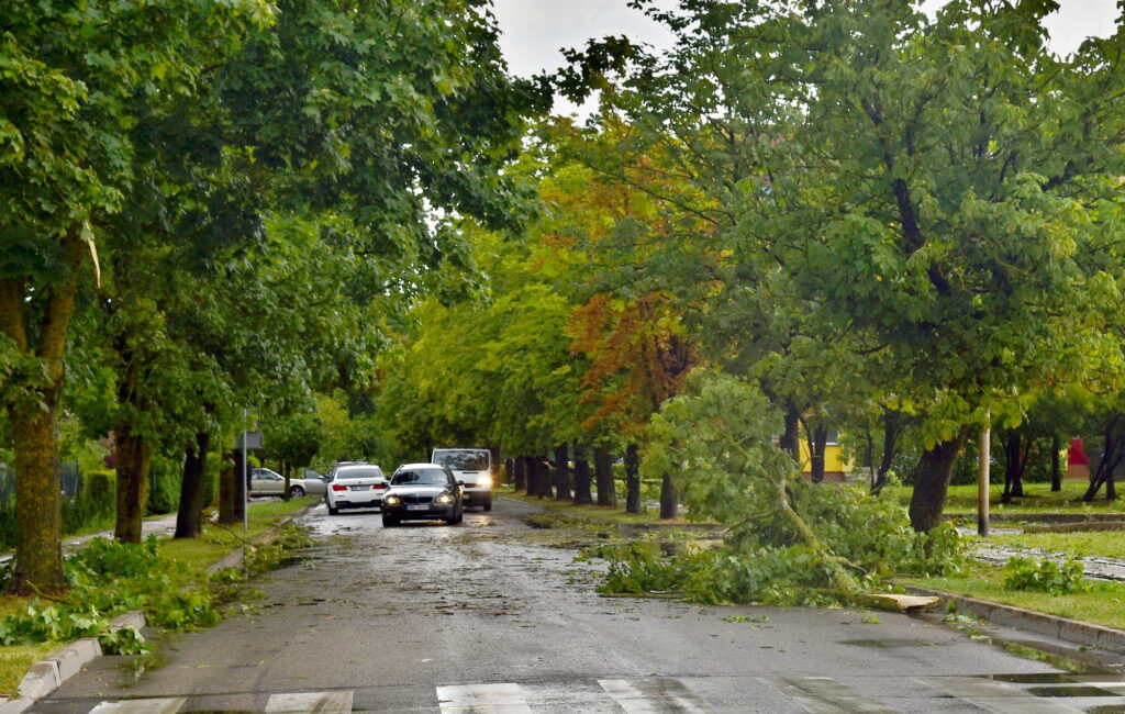 Autors: Uldis Varnevičs