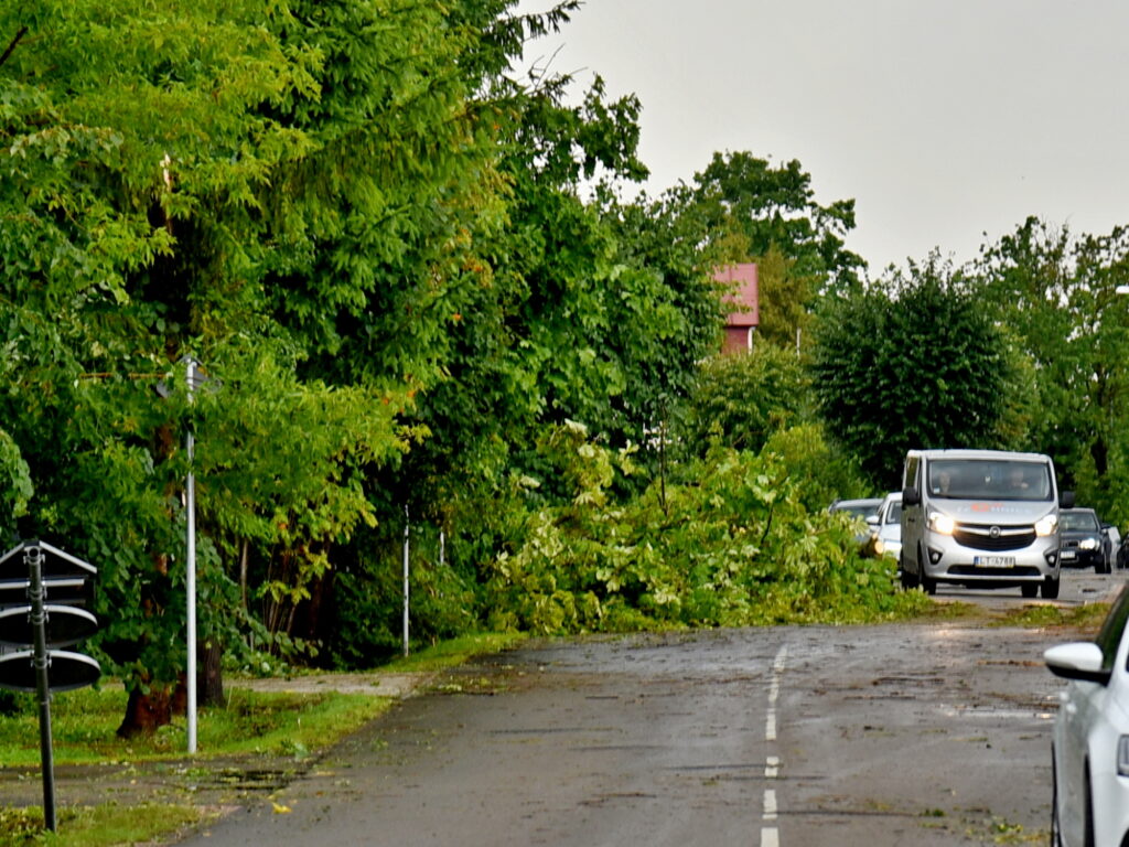 Autors: Uldis Varnevičs