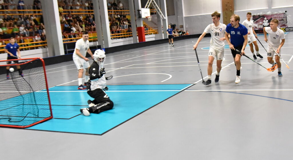 Autors: Uldis Varnevičs