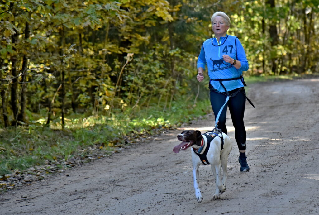 Autors: Uldis Varnevičs
