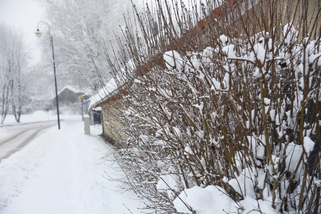 Autors: Uldis Varnevičs