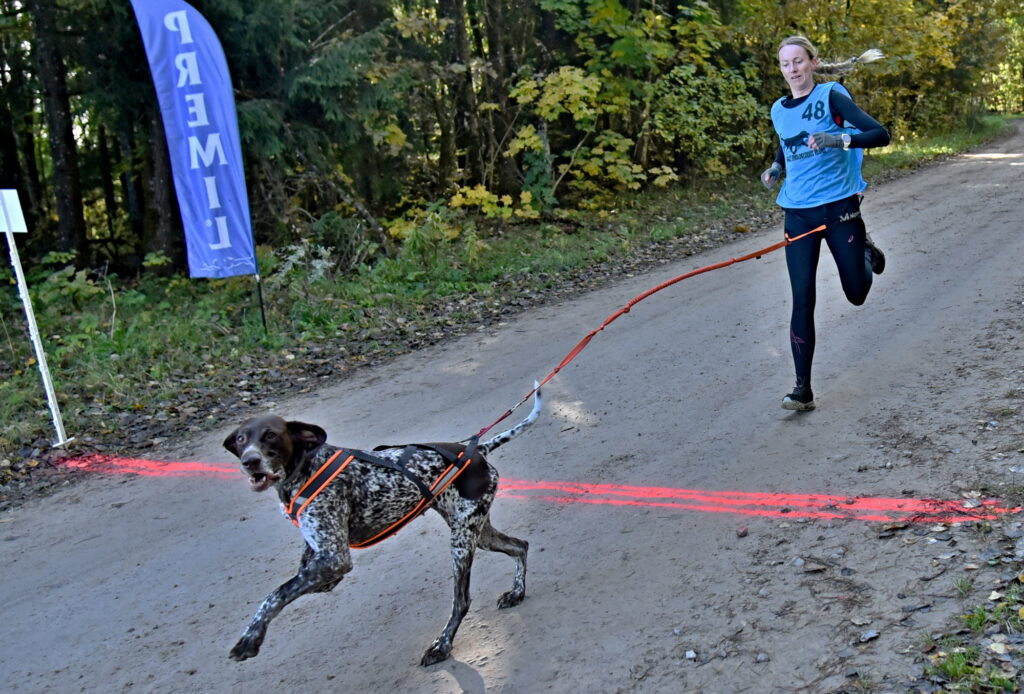 Autors: Uldis Varnevičs