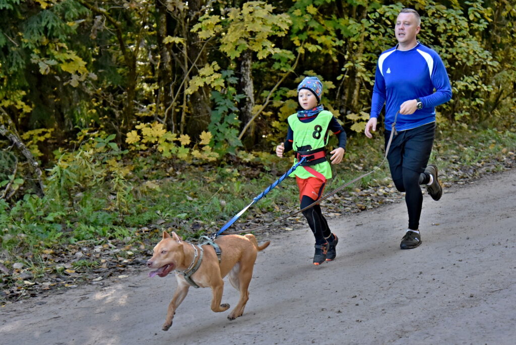 Autors: Uldis Varnevičs