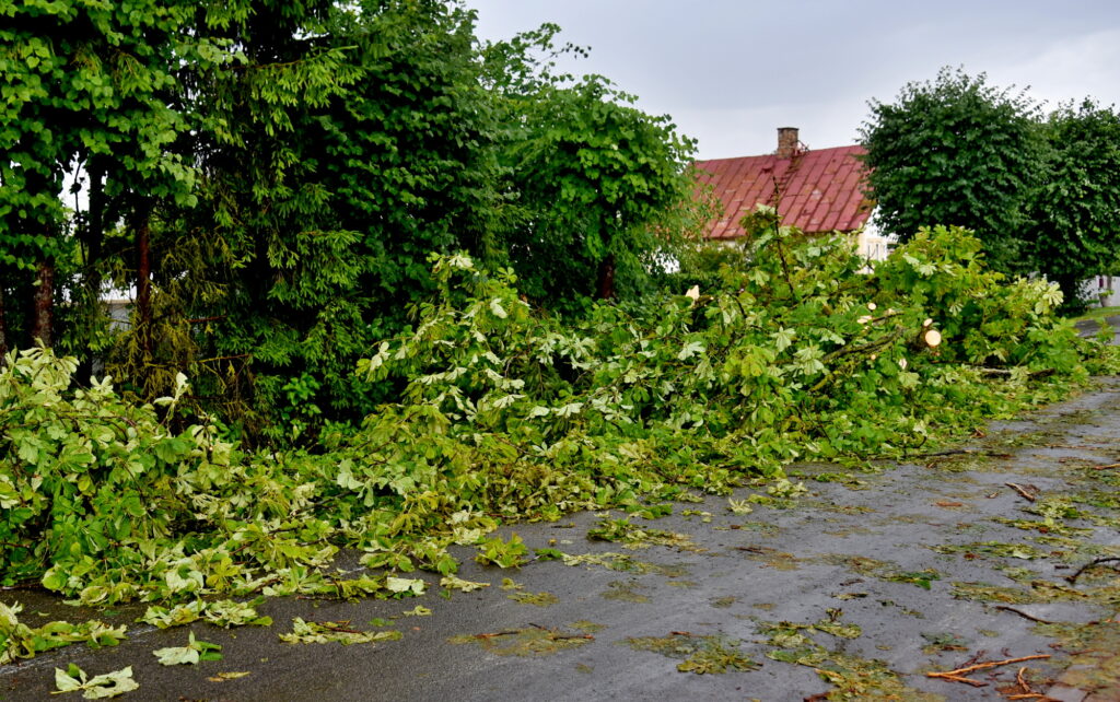 Autors: Uldis Varnevičs