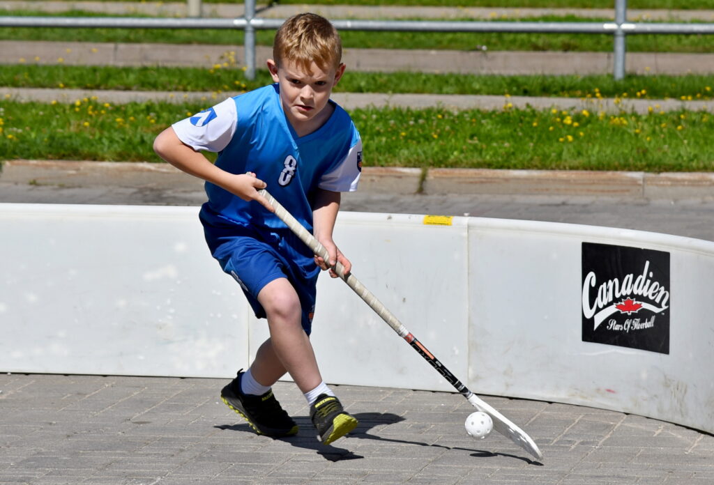 Autors: Uldis Varnevičs