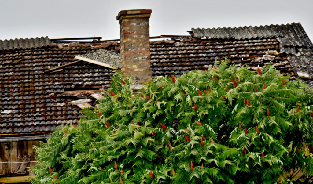 Autors: Uldis Varnevičs