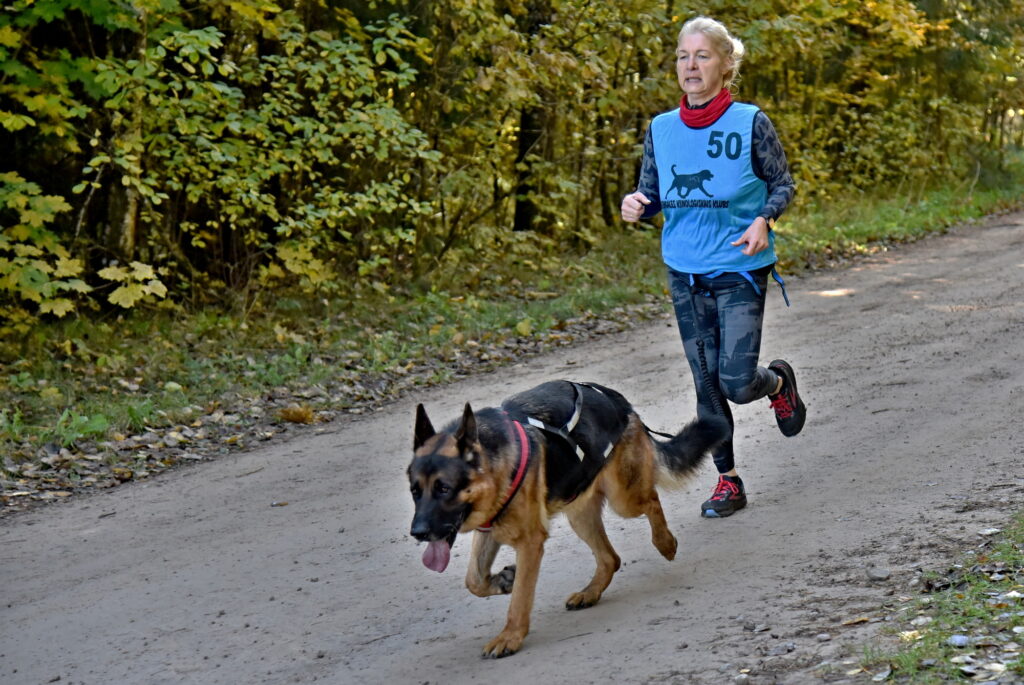 Autors: Uldis Varnevičs