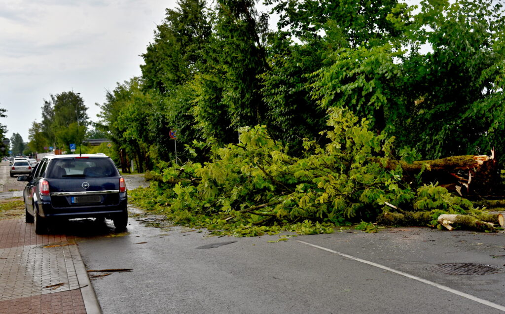 Autors: Uldis Varnevičs