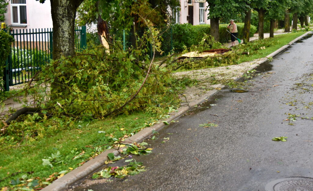 Autors: Uldis Varnevičs