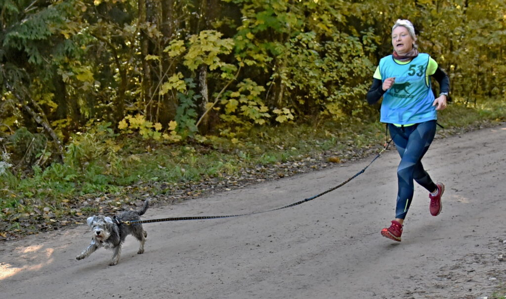 Autors: Uldis Varnevičs